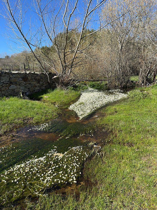 Mejorando la se&amp;#241;alizaci&amp;#243;n de rutas en la Sierra de Gredos: un paso m&amp;#225;s all&amp;#225;