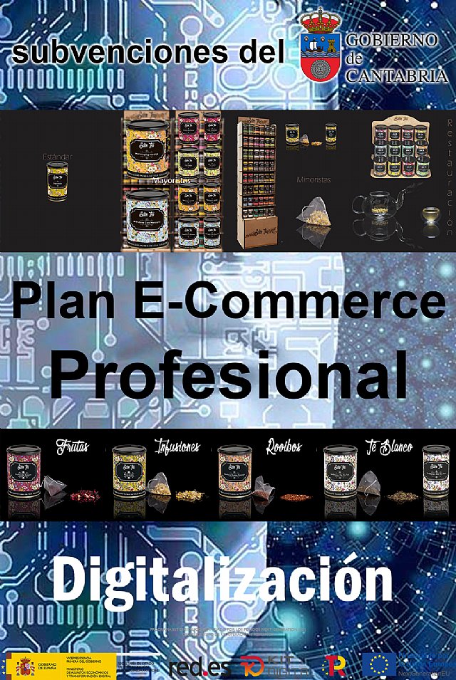 Plan E-Commerce Profesional