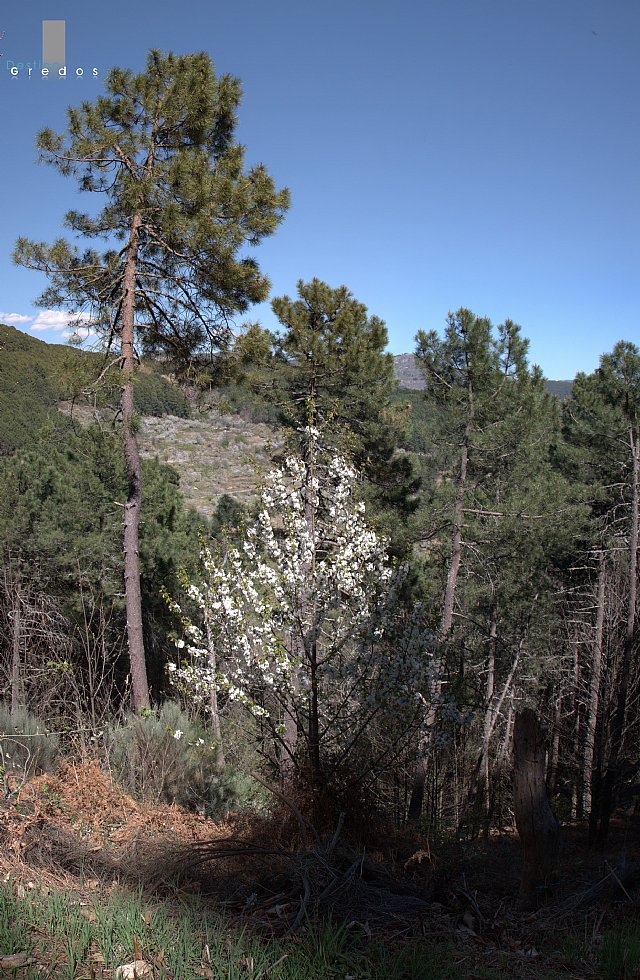jabenito-es_pano_valledeltietar_00021.JPG