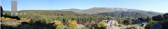 jabenito-es_panoramica_pinar_de_navarredonda.jpg